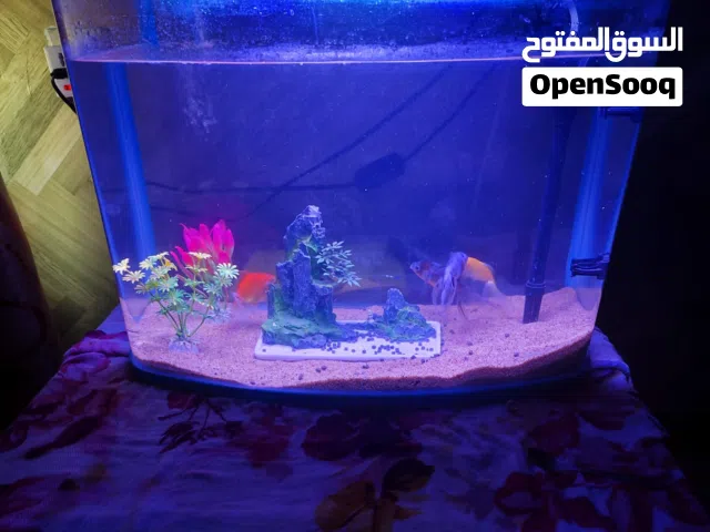 حوض اسماك مستخدم