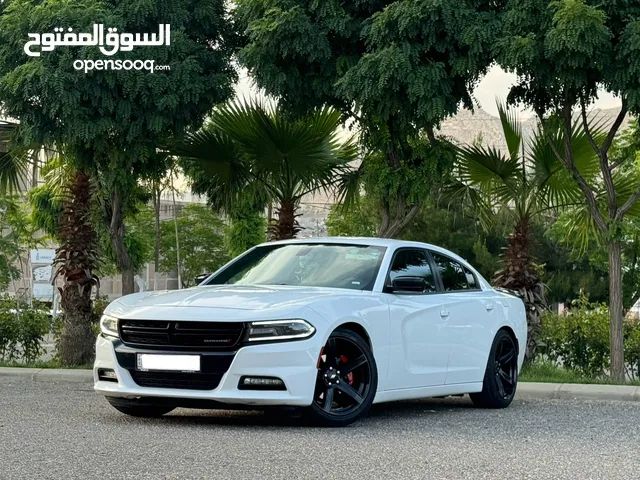 New Dodge Charger in Dohuk