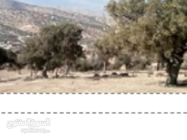 Mixed Use Land for Sale in Zarqa Al-Alouk