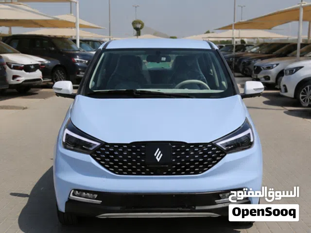 2026 JMEV EV3