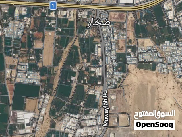 للبيع آراضي زراعيه في صحار