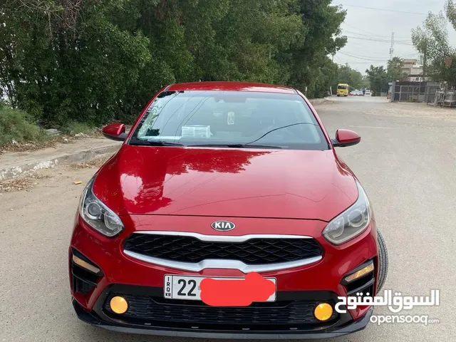 فورتي 2019