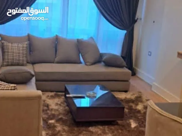 شقة مفروشة للايجار vip فى مدينة نصر خلف دار الدفاع الجوي وبجوار جميع الخدمات للعائلات فقط . . . .