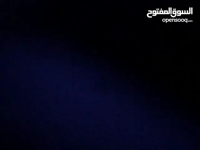 نبو كلاب لتبني ي تريس في حد عنده يكلمني