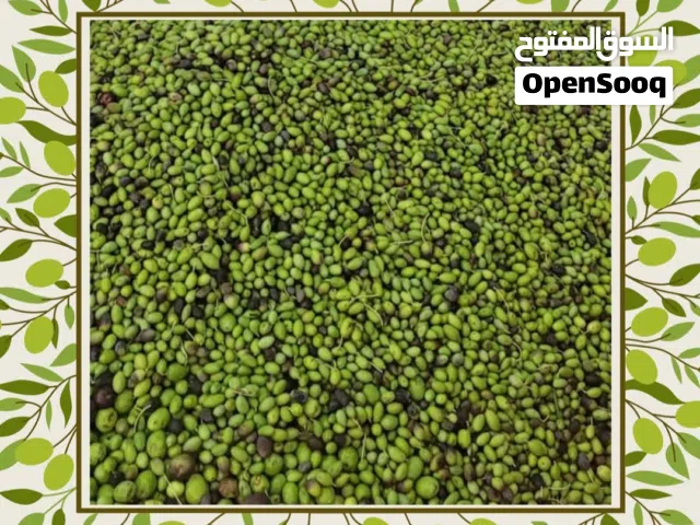 زيت زيتون الجبل الأخضر   ...بكر عصرة أولى.... ......................................................