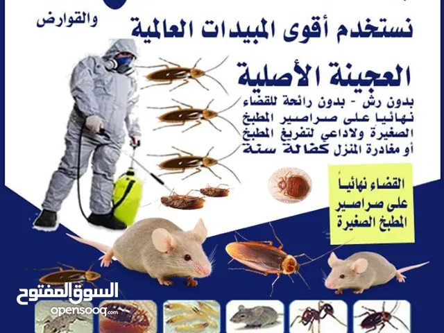 شركة مكافحة حشرات وقورض ارخص الاسعار مبيدات انجليزية والمانيه والعجينه الاصليه كفاله سنه مكافحة صراص