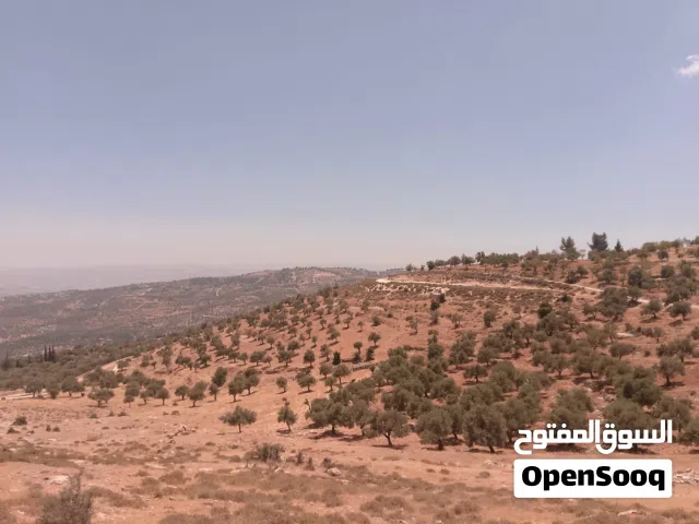 Farm Land for Sale in Jerash Soof