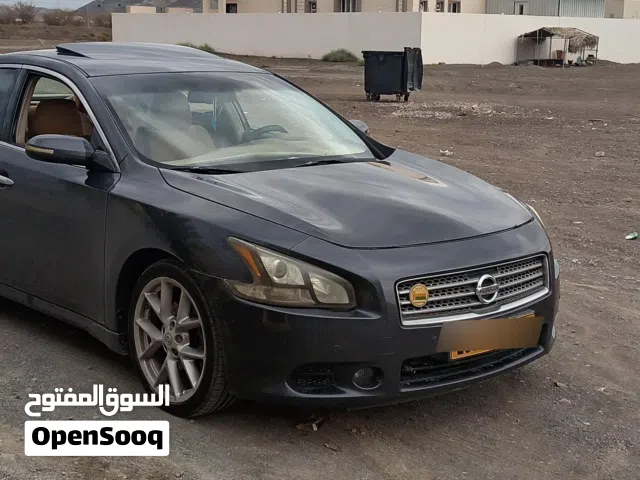 2010 نيسان مكسيما SR1