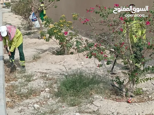 شركة إبداع الحظائق : لزراعة وتصميم وتنسيق وصيانة وتشغيل حدائق