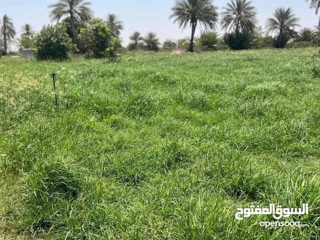 ارض زراعيه + بيت العمر جديد السعر مليونين ونص قابل للتفاوض للجاد بحدود المعقول