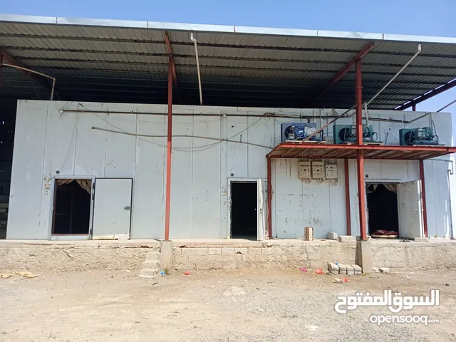 ثلاجات  مركزيه تبريد وتجميد لايجار او للبيع