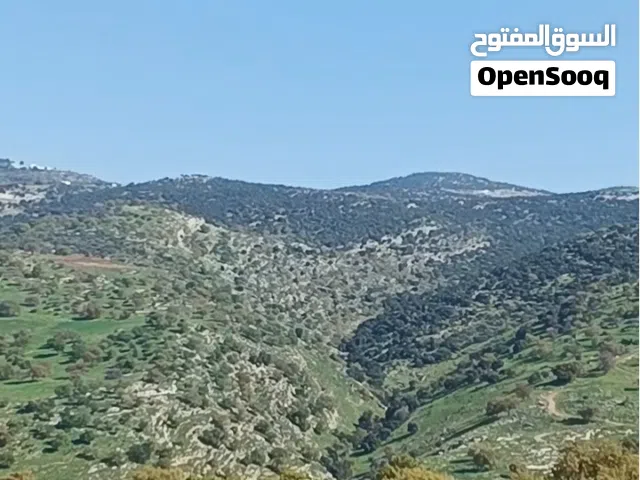 قطع اراضي جميله في جرش وعجلون