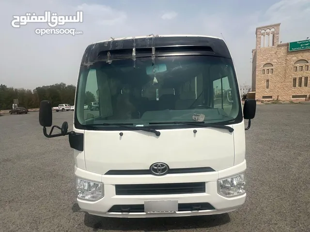 كوستر 2019