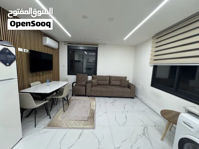 50 m2 Studio Apartments for Rent in Ramallah and Al-Bireh Ein Musbah