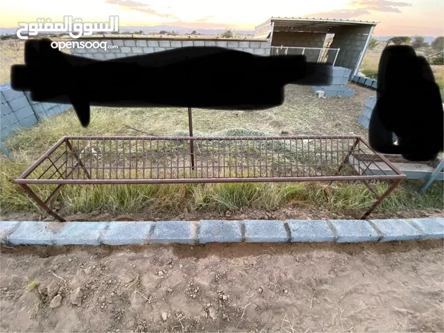 معلف للبوش و المواشي