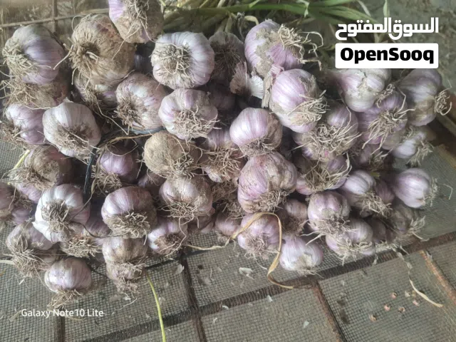 ثوم عماني للبيع