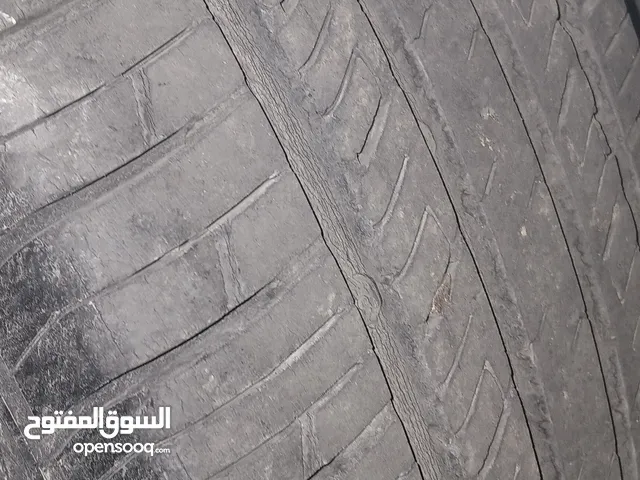جوز كوشوك مستعمل للبيع