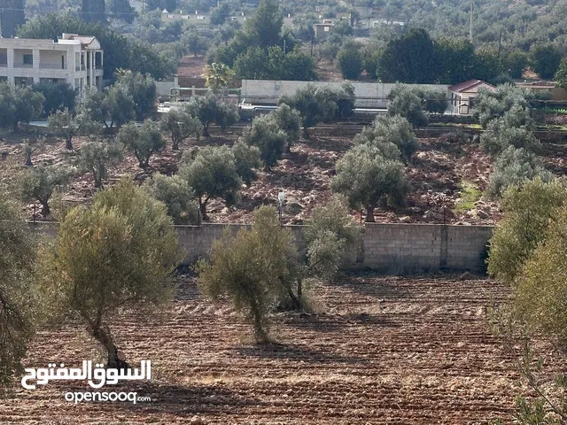 لقطة ثلاث دنم ونصف الموقع نادرة شارع جرش الرئيسي مشجرة ومرتفعة موقعها مميز جدا