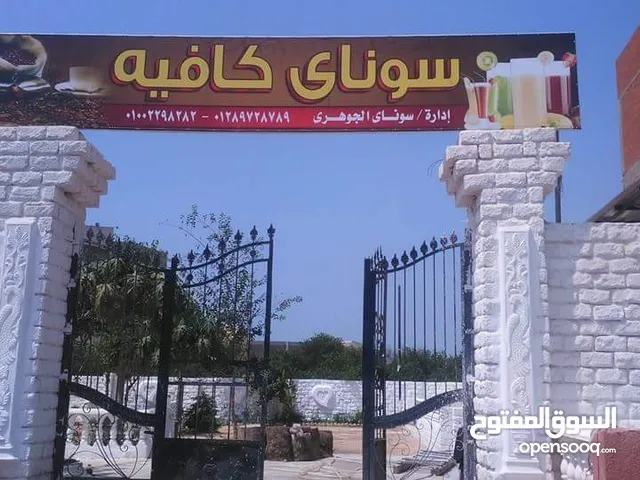 School Land for Rent in Tanta Other