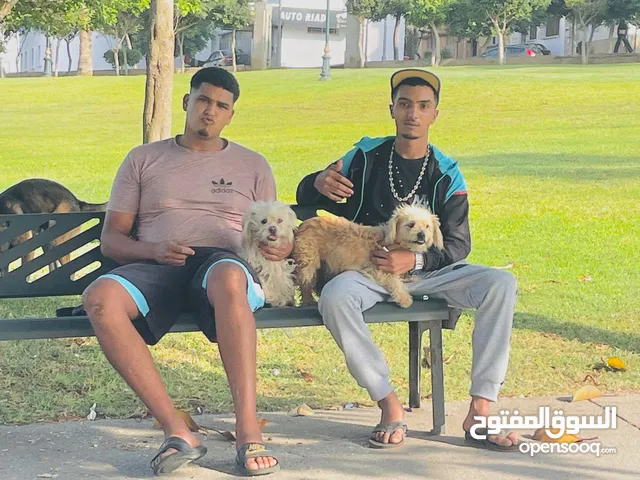 mmmmmmmmmmmmmmmmmmmmmmmmmmmmmmmmmmmmmmmmmmmmmmmmmmmmmmmmmmmmmmmmmmmmmmmmmmmmmmmmmmmmmmmmmmmmmmmmmmmm