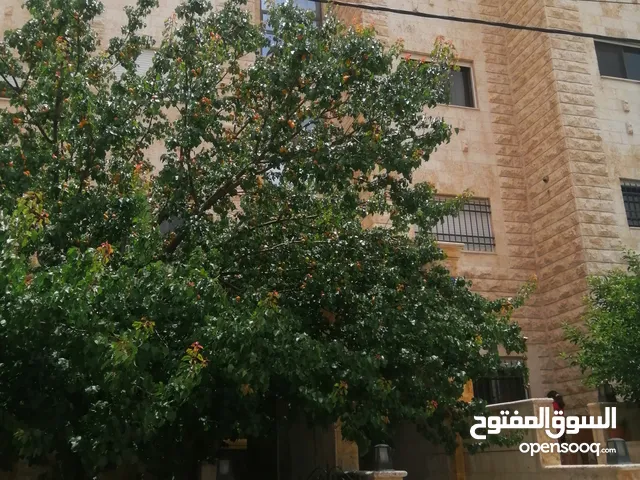 شقه طابق اول 93 متر بشفا بدران للبيع