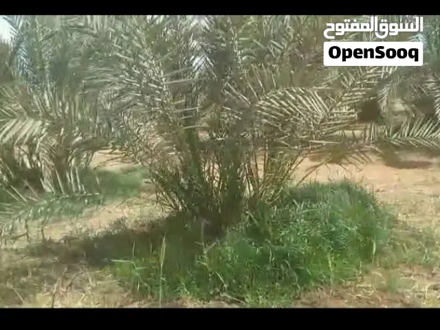 ارضي الوحات البحرية