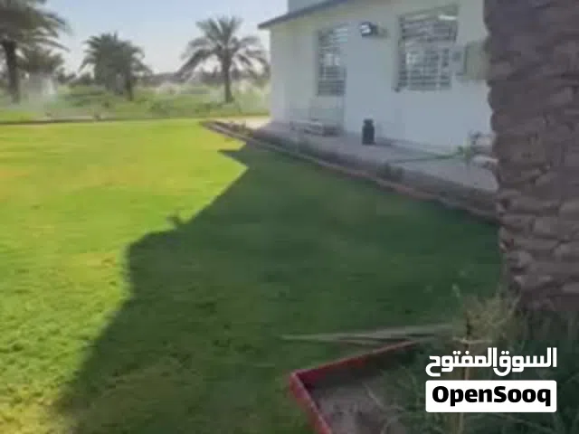 السلام عليكم مزرعه 4 دونم للبيع 100 في 100 بغداد الدوره او مرواس في عماره تجاريه كراده
