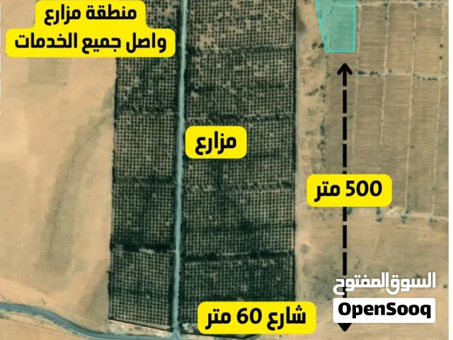 Farm Land for Sale in Amman Dab'a
