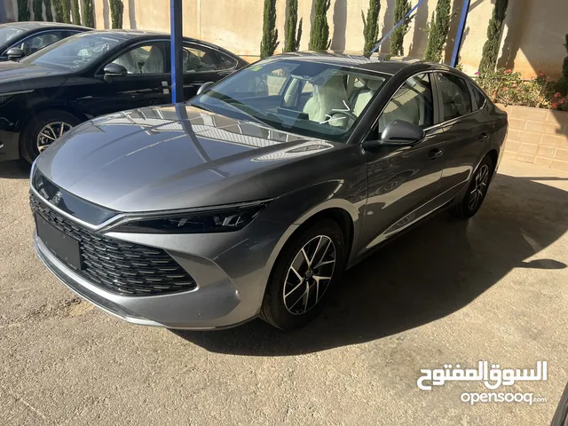 2024 بي واي دي كين