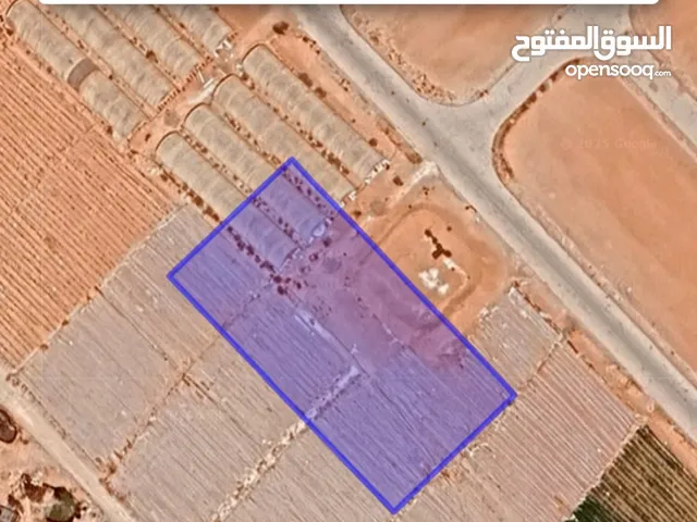 Farm Land for Sale in Amman Al Tuneib