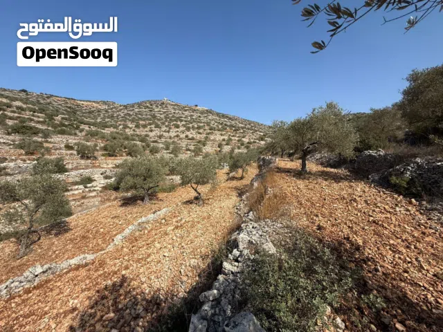 ارض للبيع بسعر مغري جداا