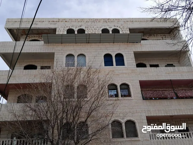 330m2 More than 6 bedrooms Apartments for Sale in Jerusalem Abu Dis