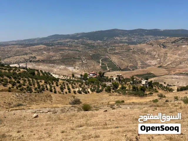 أرض مميزة للبيع في جرش (المصطبة) من المالك مباشرة - حوض أم خنوص مطلة على سد الملك طلال على شارعين