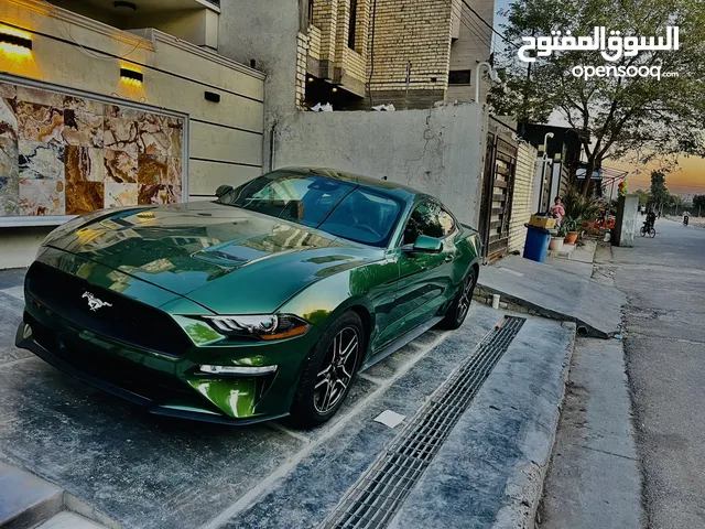 موستانج 2022 ألون مميز