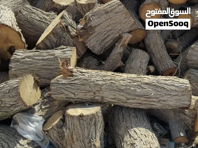 يوجد حطب سمر وغاف حجم كبير