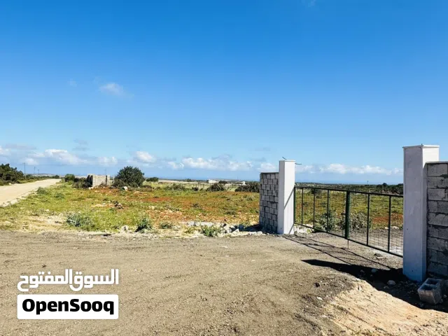 فرصة مميزة للاستجمام والاستثمار في الجبل الأخضر