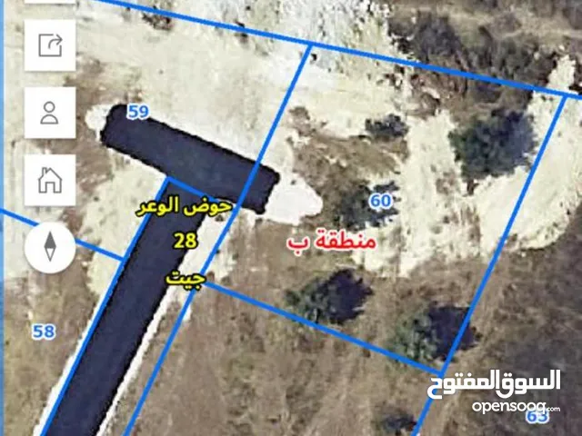 نمره 455 متر في حي فاطمة الزهراء للبيع بسعر مغري