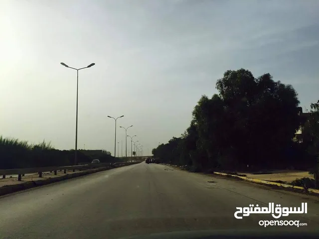 80هكتار للبيع طريق طرابلس