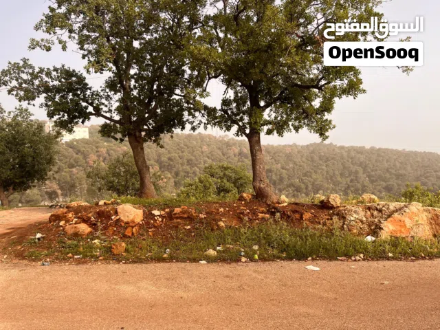 ارض مميزه جدا للبيع عمان الغربية