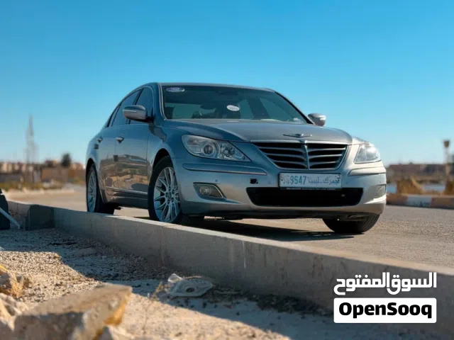 2010 Genesis Other
