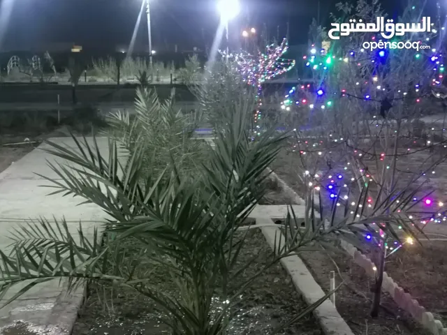  Farms for Sale in Basra Shatt Al-Arab