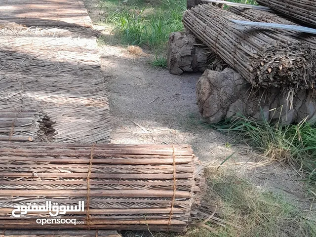 دعون سعف جديدات للبيع