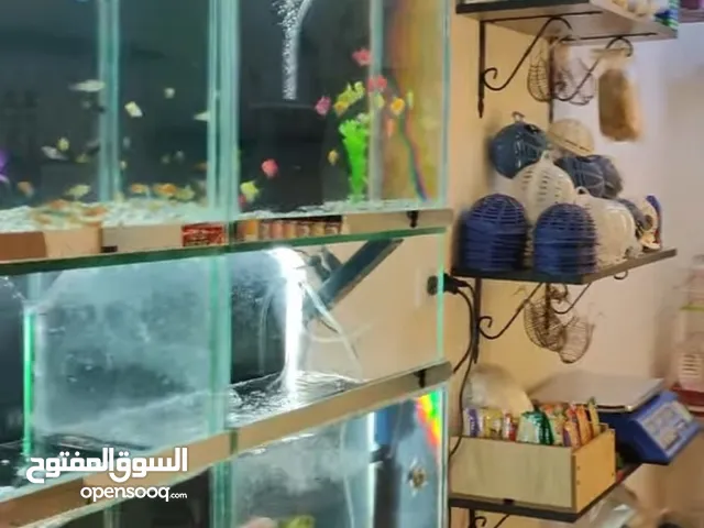 تمليك محل تجاري للاستثمار بعائد سنوي 1080 د أفضل من استثمار الشقق وأقل في رأس المال الاستثماري