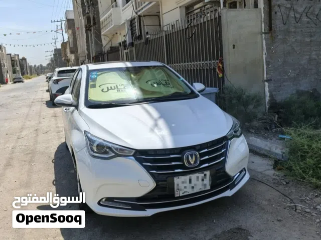 شانجان السفن 2023