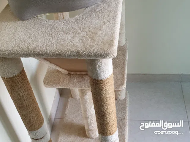 Cat Scratcher