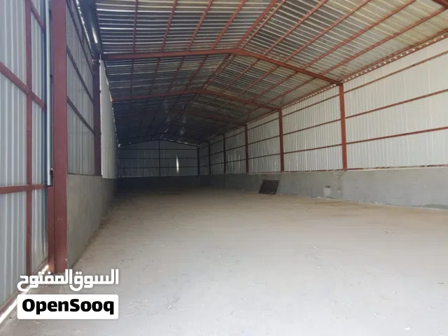 stores for rent (birkital awamar)