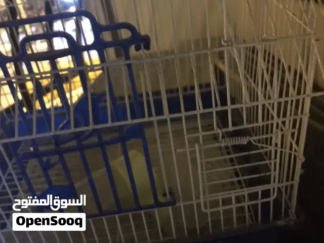 قفص عصفور مستعمل