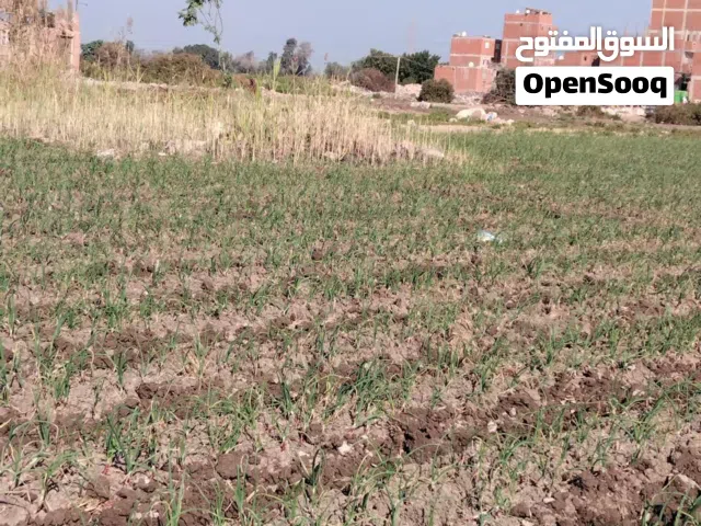 Farm Land for Sale in Tanta Other