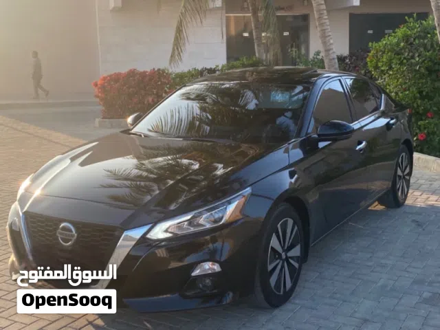 التيما فل اوبشن