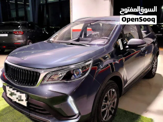 Livan x3pro internationale manuelle avec toit 2026 300km grise  Localisation- ain defla  Carte grise